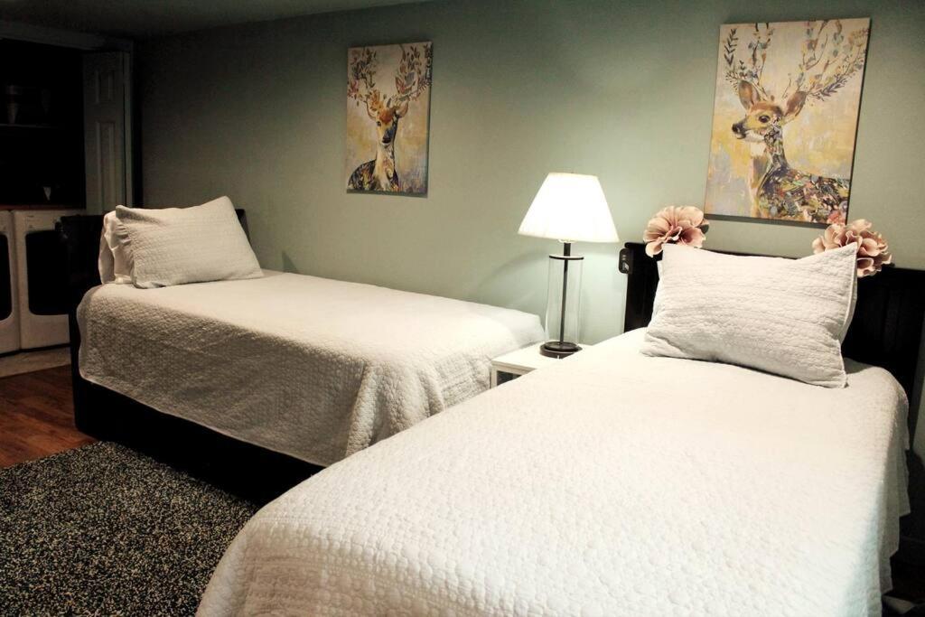 Heart Of Woodstock, 10 Min Walk To Reed, With Private Garage! Appartement Portland Buitenkant foto