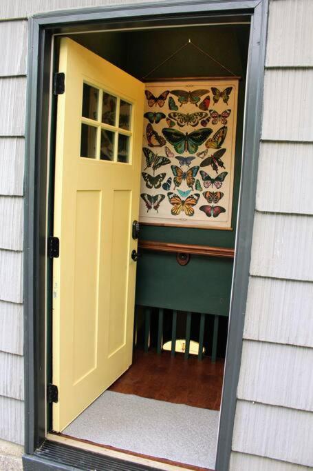 Heart Of Woodstock, 10 Min Walk To Reed, With Private Garage! Appartement Portland Buitenkant foto